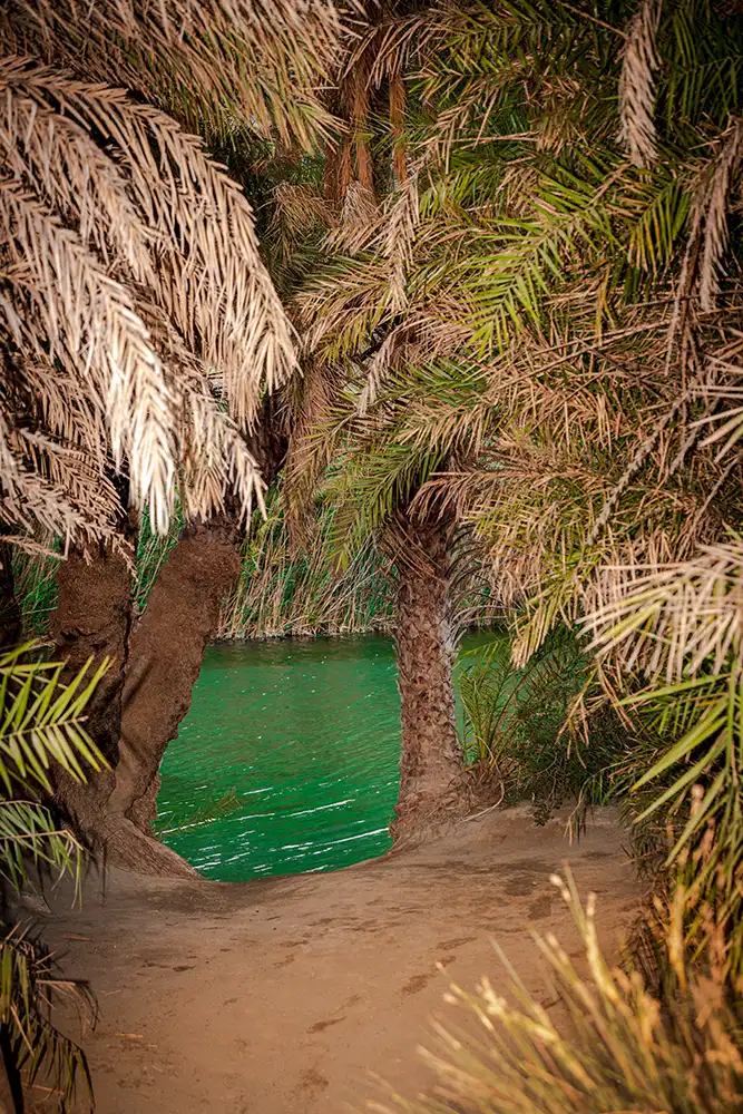 Preveli Tropical Beach