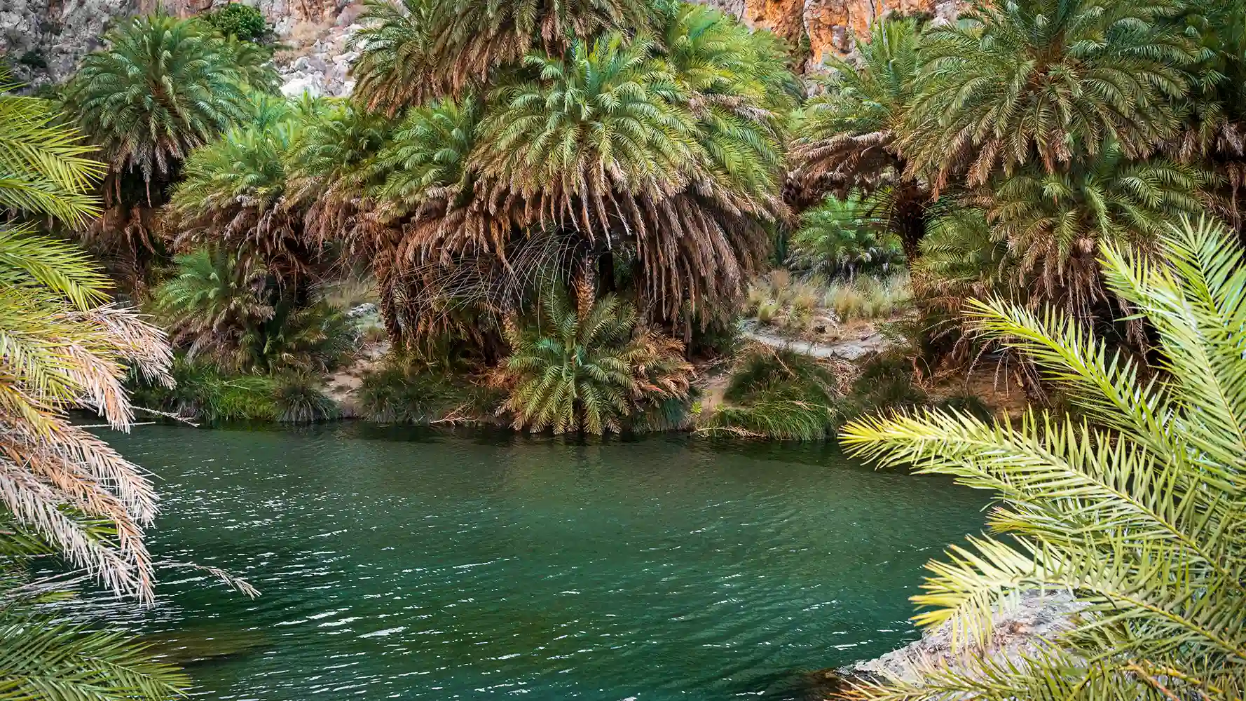 Preveli Tropical Beach