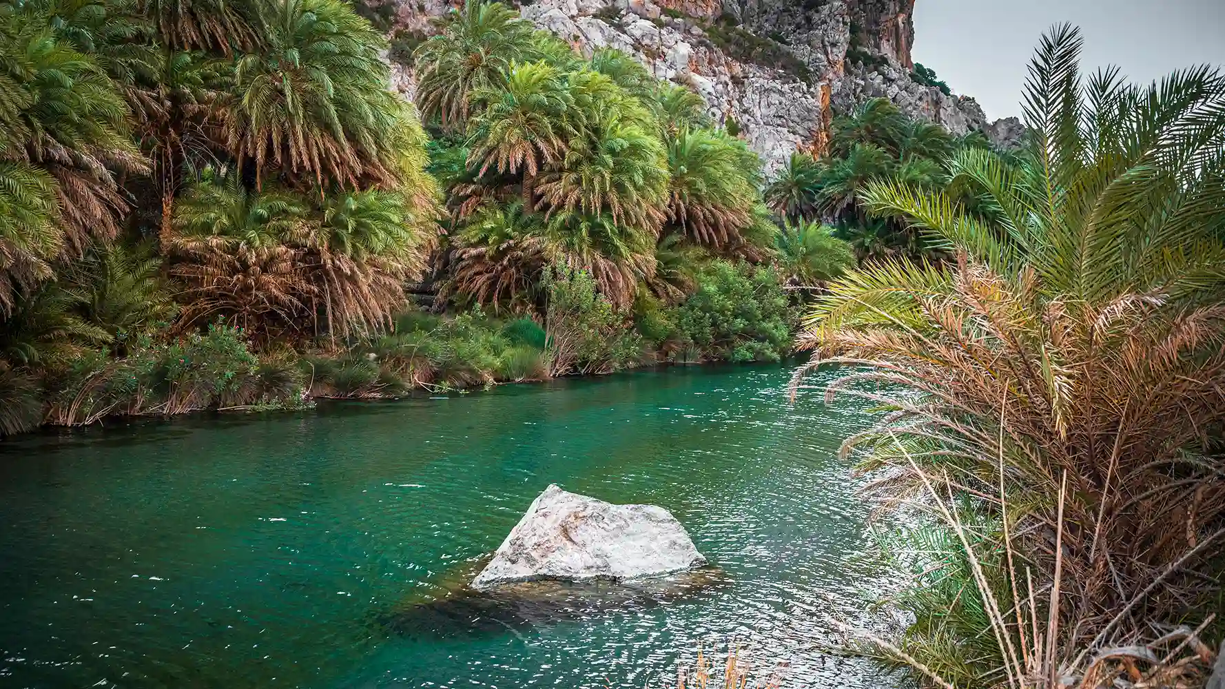 Preveli Tropical Beach