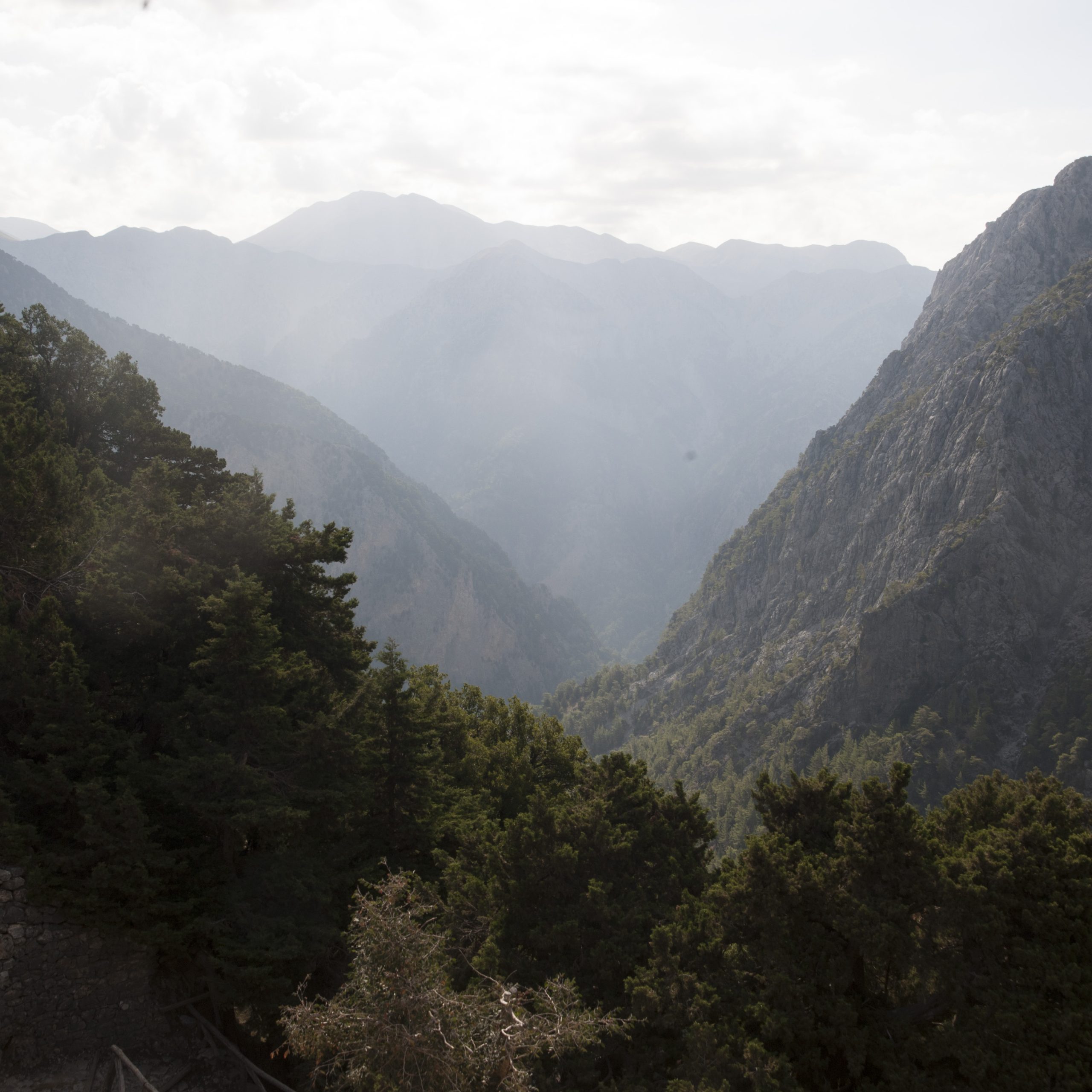 Samaria Gorge Excursion