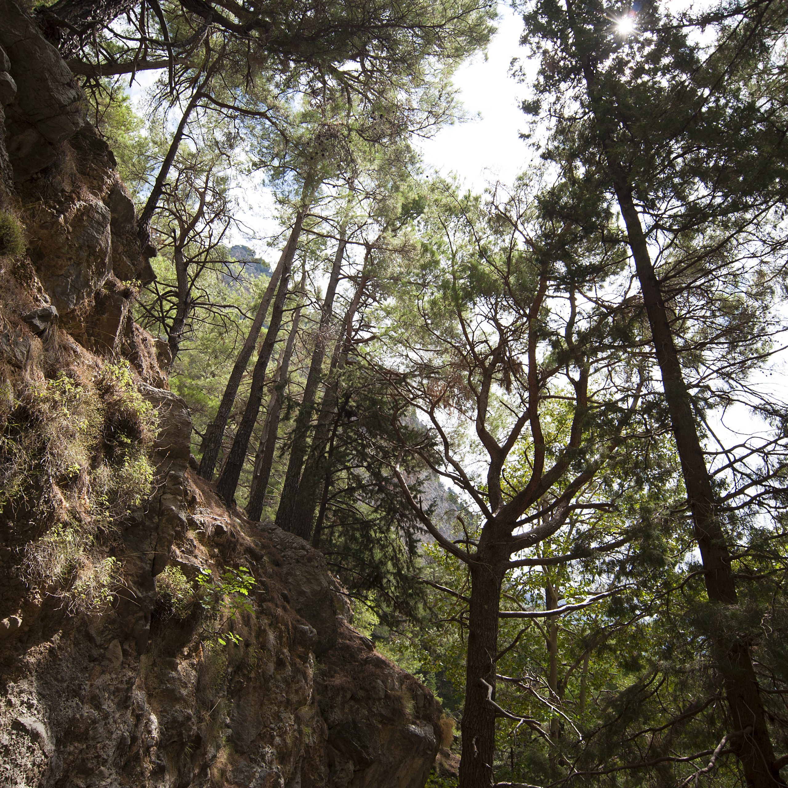 Samaria Gorge Excursion