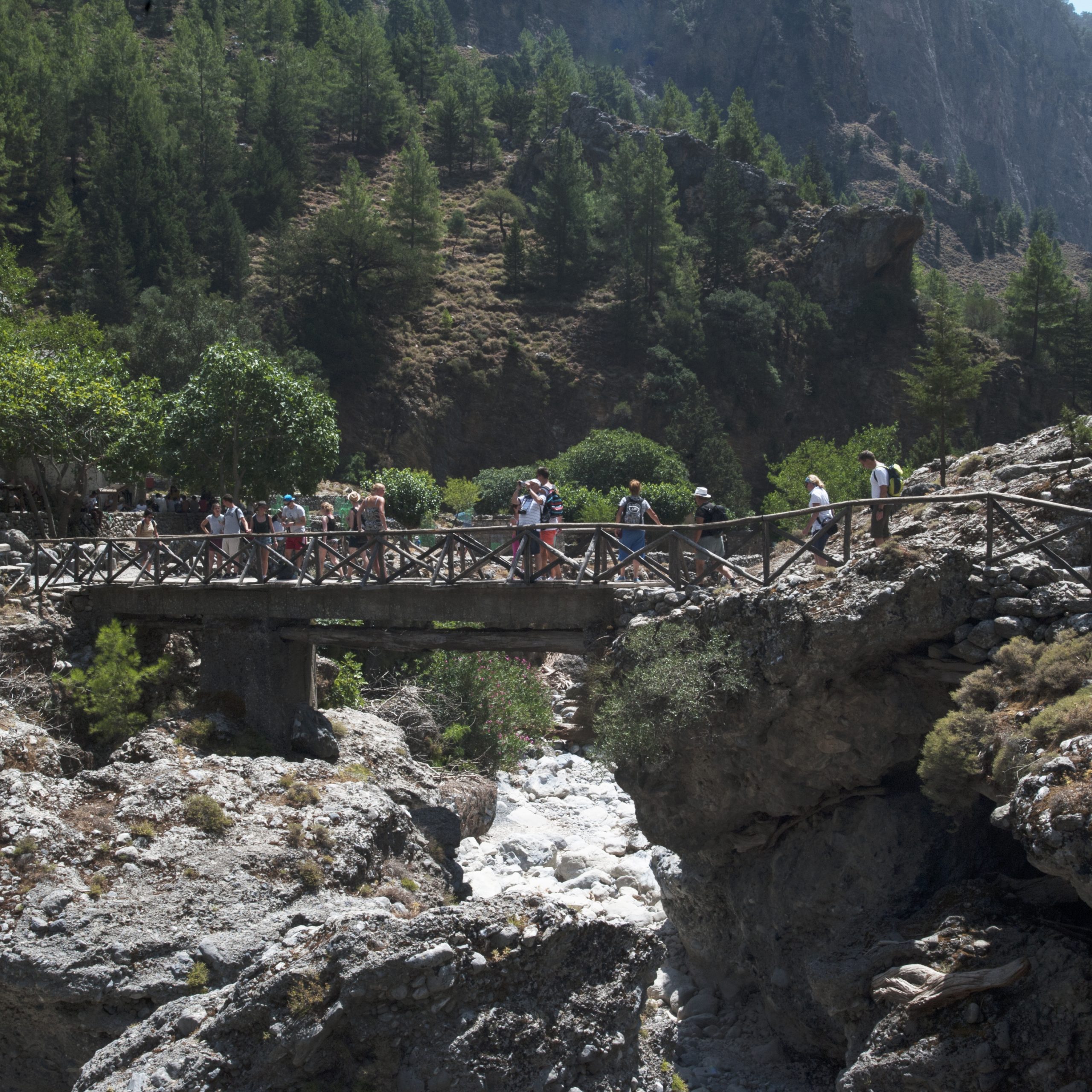 Samaria Gorge Excursion