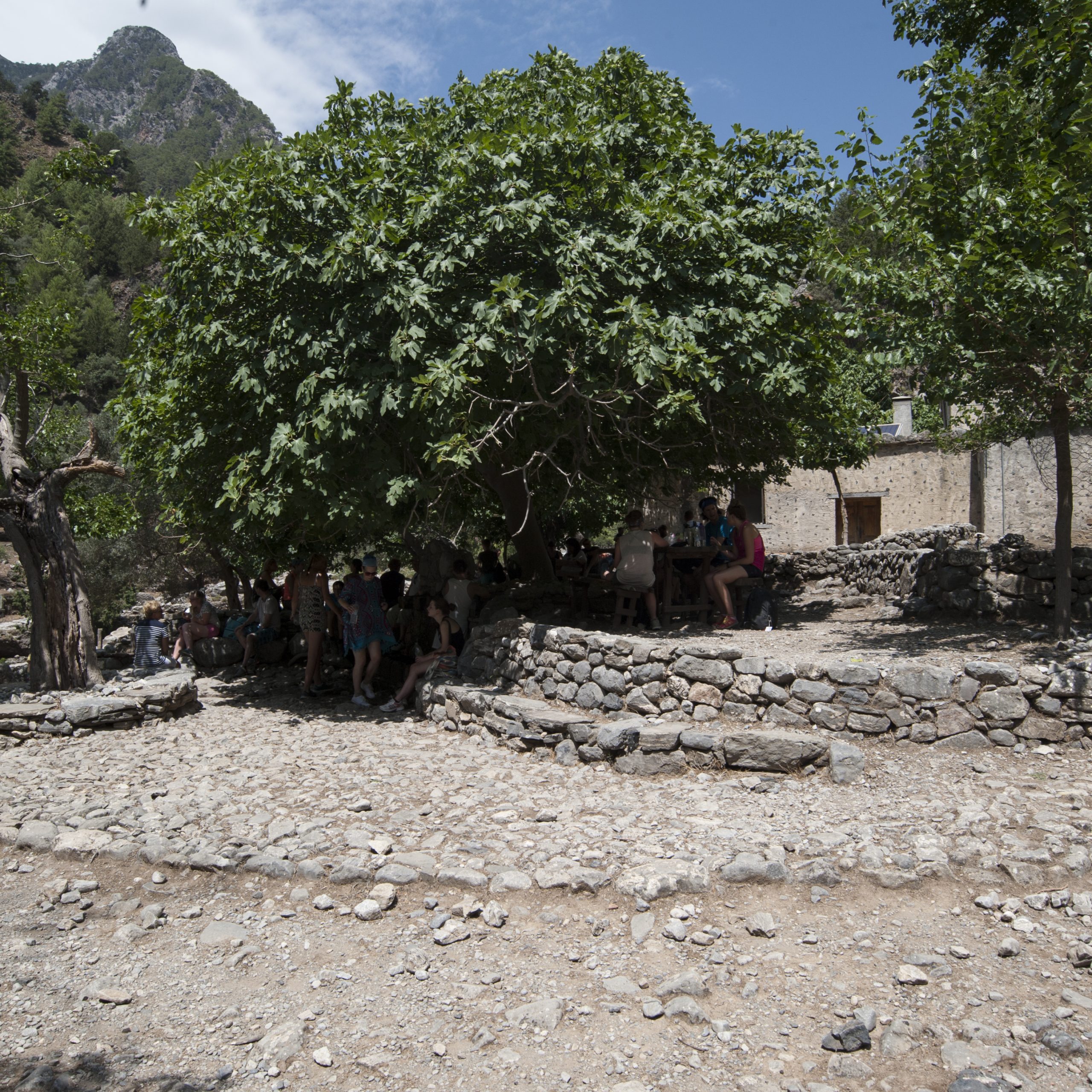 Samaria Gorge Excursion