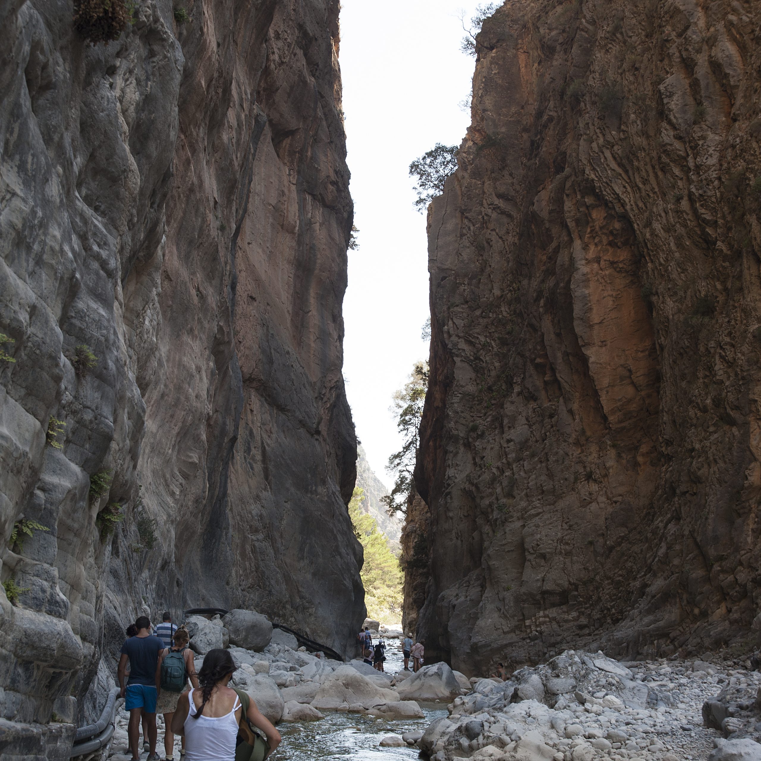 Samaria Gorge Excursion