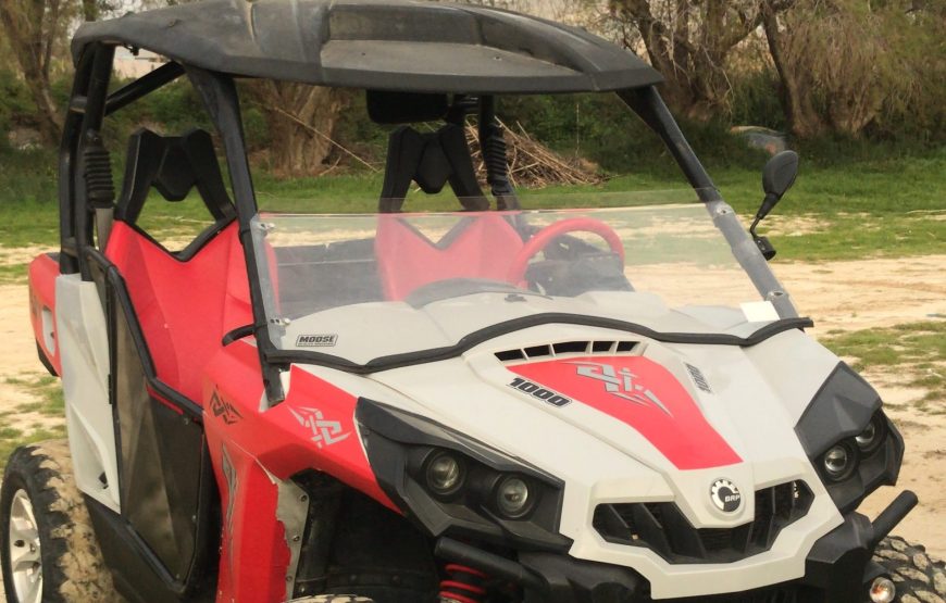 Quad-Buggy Safari